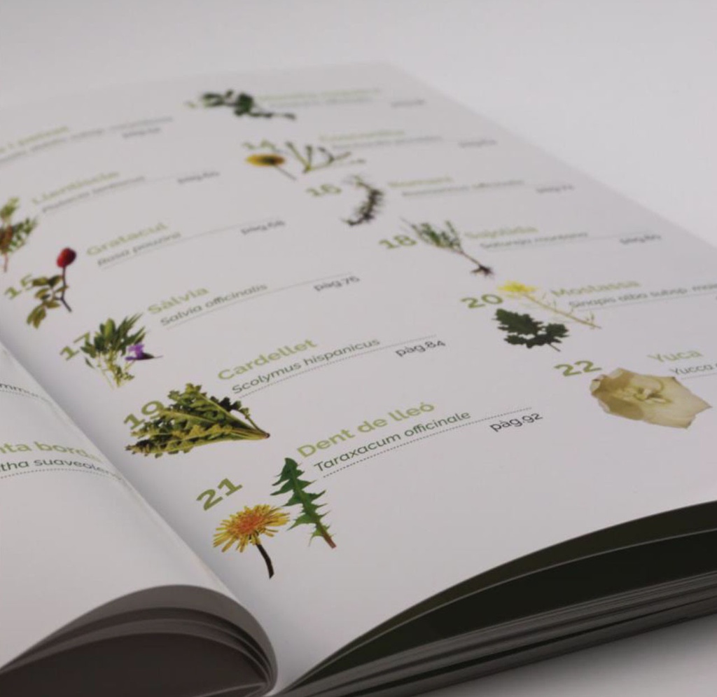 Llibre de les plantes silvestres comestibles 01