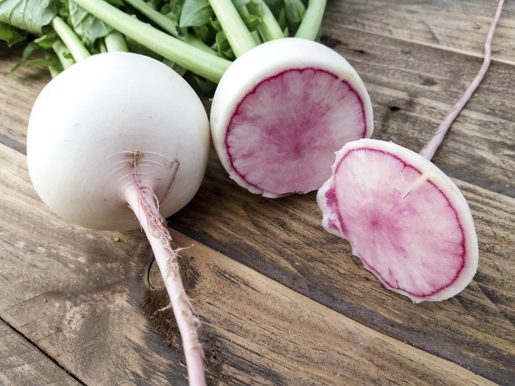 Nap rodó síndria (kg)