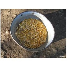 Gra - Barreja per gallines