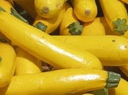 Carbassó mini groc (5u)