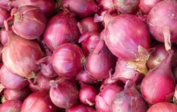 Ceba morada (cal 60-80)