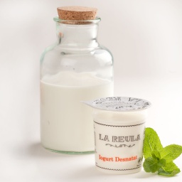 Iogurt DESNATAT de vaca ECO individual